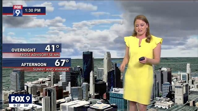 Meteorologist multiplies on screen during graphics glitch | FOX 9 KMSP смотреть онлайн