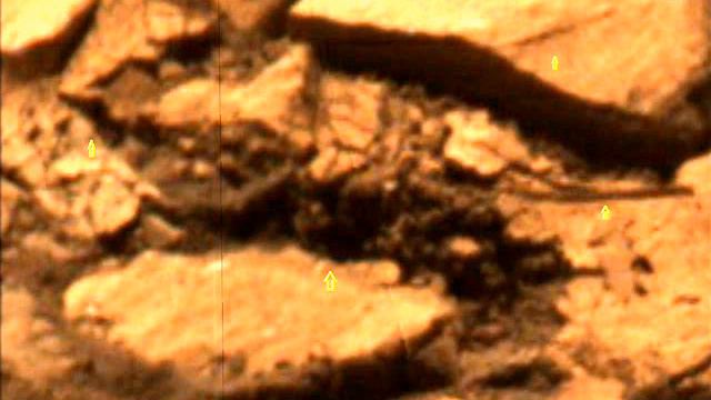 Гибель марсианина 1.wmv смотреть онлайн