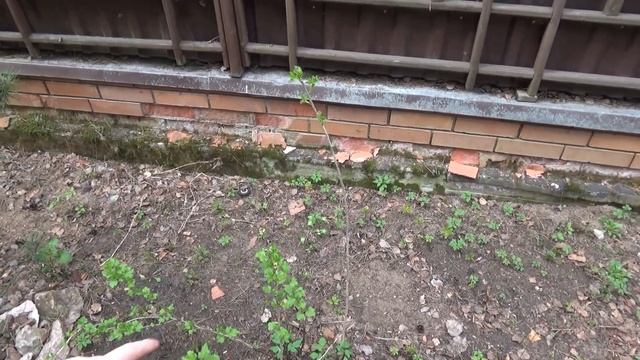 Микро бизнесс на можжевельнике смотреть онлайн