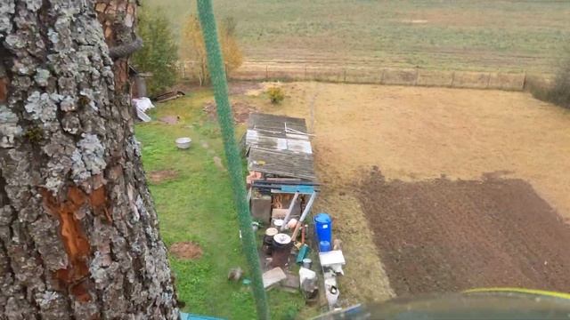 Арбористика‼️Аккуратное удаление крупного дерева?по частям в стесненных условиях.Stihl Husqvarna смотреть онлайн