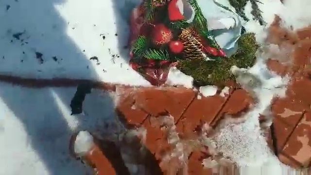 Как я пыталась сделать фотосессию смотреть онлайн
