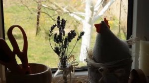 Сделали кормушку для птиц-Приготовление блинов с начинкой-Весенние работы в саду-Видео РЕЛАКС