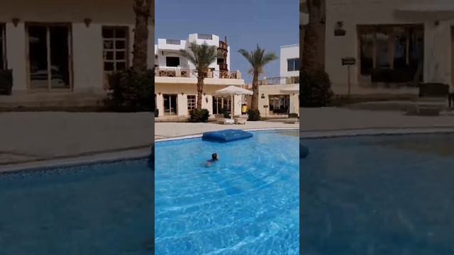 Ми зі Львова в Hollywood. Єгипет. Харчування в Італійському ресторані. Palma di Sharm. смотреть онлайн