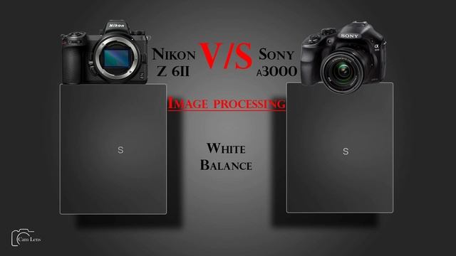 Nikon Z 6II Vs Sony α3000