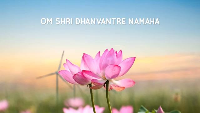 Day 27 Mantra for Good Health Healing DHANVANTRI MANTRA 108 Times 30 Days of Chants смотреть онлайн