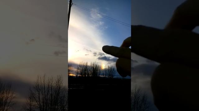 Уникальное явление природы. Наблюдения натуралиста. смотреть онлайн