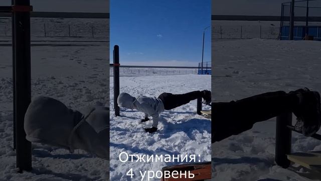 Отжимания 1-7 уровень смотреть онлайн