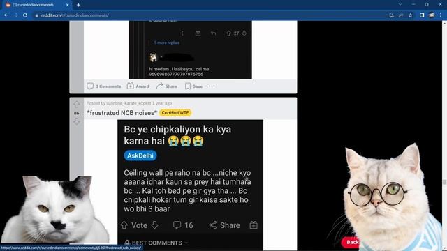 Cats react to r/indiancursedcomments ??? смотреть онлайн