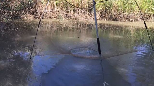 РЫБАЛКА НА ПАУК ( ПОДЪЁМНИК) В МАЛЫХ РЕКАХ смотреть онлайн