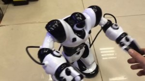 Интерактивный робот Тиктоник