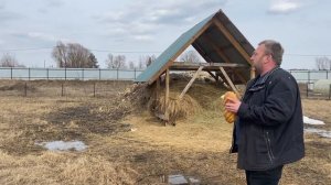 РАЗВЕДЕНИЕ КРОЛИКОВ В ВОЛЬЕРЕ, ЧАСТЬ ВТОРАЯ