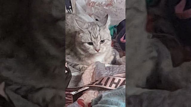1000175638.mp4 смотреть онлайн