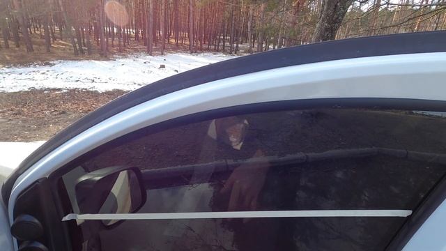 Дома и Жизнь