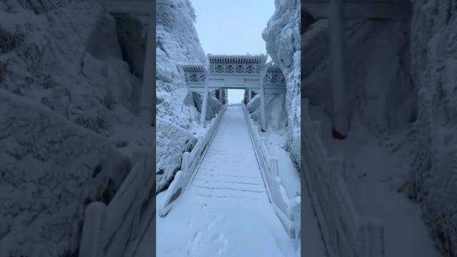 срочно сегодня супер видео природа земли смотреть онлайн