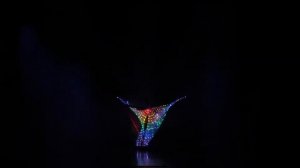 Александра Головач - танец со светодиодными крыльями