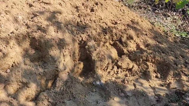 Привёз песок и начинаю кладку подвала.