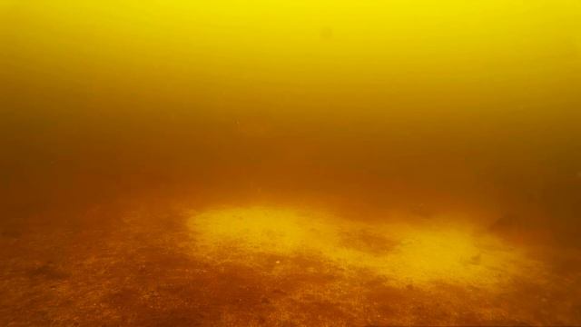 Рыбалка онлайн. Подводные съёмки. Ирикла 2017. смотреть онлайн