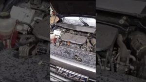 Толосол и антикриз? перепутал жидкости на китайце haval #приколы #china  #авто