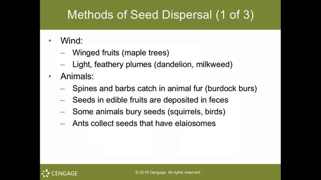 Reproduction in Flowering Plants, Pt. II, Chapter 37 смотреть онлайн