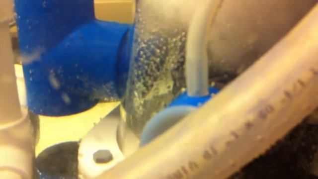 SCA-302 Protein Skimmer Day 1