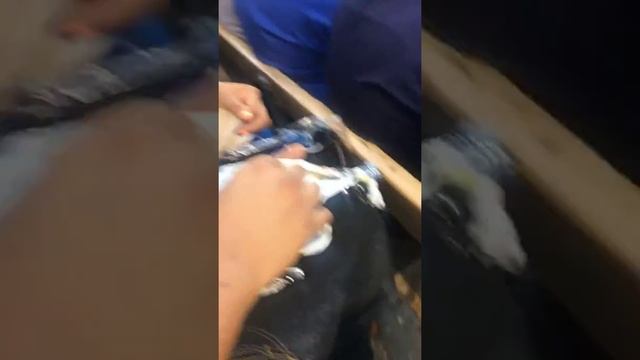 Dodger game bottom of the 6 смотреть онлайн