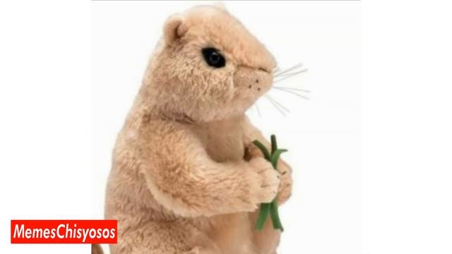 el pasto смотреть онлайн