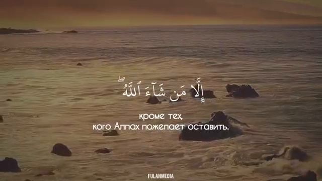 Сура 39 «Аз-Зумар», аят 68. Чтец: Saad Ezzaouit. смотреть онлайн