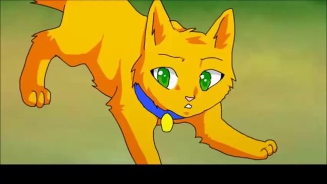 AMV - Warrior Cats - Rise {READ DESC!}