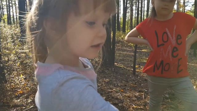 VLOG. Прогулка по лесу. Забайкальский край. Собираем грибы. смотреть онлайн