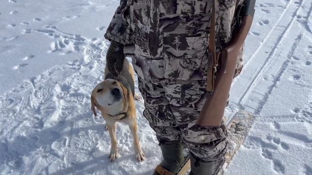 ВЛОГ | рыбалка | едем в лес с металлоискателем смотреть онлайн