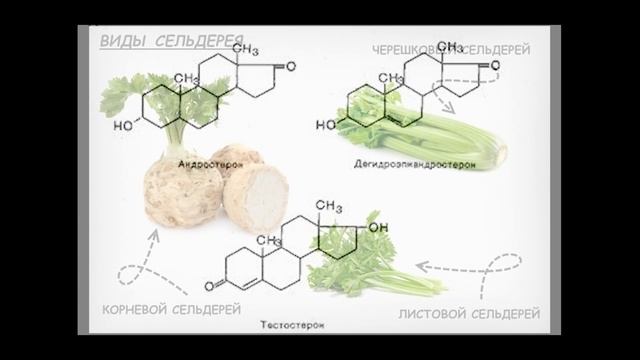 Супер ЕДА для Эрекции и ТЕСТОСТЕРОНА: 19 продуктов, повышающих тестостерон. смотреть онлайн