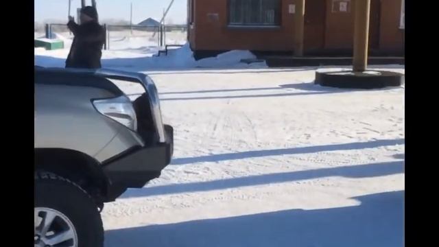 Охота на волков Казахстан 2я версия смотреть онлайн