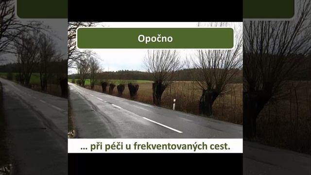 Zkušenosti Z Východních Čech (Jiří Řehounek, Calla/Jakub Horák, FLD ČZU)