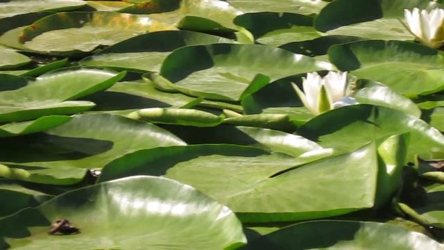 Рыбалка на необитаемом острове Кушугум смотреть онлайн