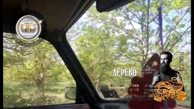 Маточный сад орехов Кочерженко 2018г. Walnuts Broker смотреть онлайн