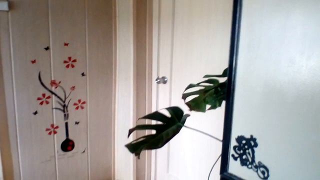 Оформление угла в прихожей. смотреть онлайн