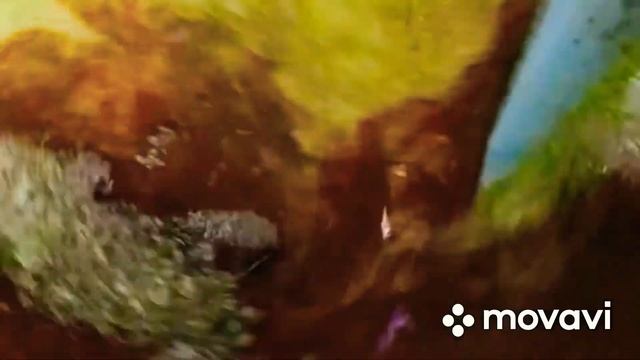 Салаты с Базиликом