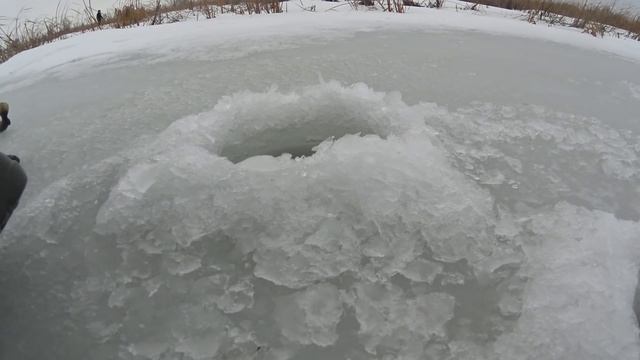 Ротан. Зима. Первый лёд. смотреть онлайн