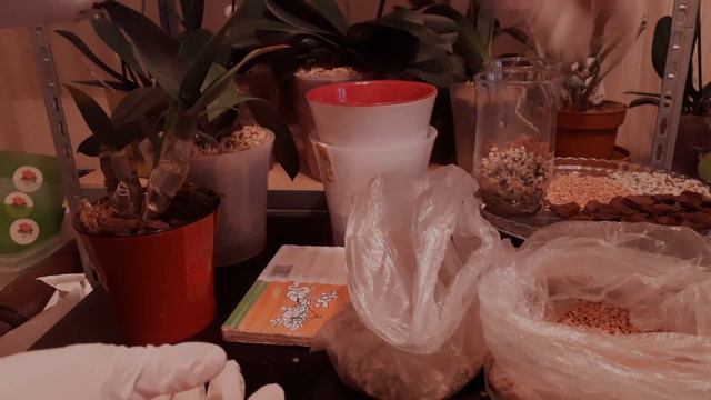 🌺Обзор посылки из России.🌺 смотреть онлайн