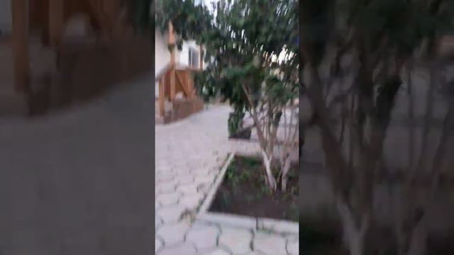 Мой огород/конкурс/ВСЁ ПРО ВСЁ ТВ смотреть онлайн