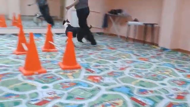 Подготовка к выставке на кавалетти. смотреть онлайн