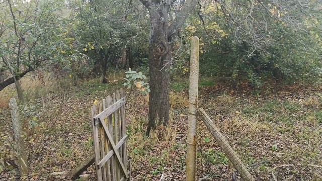 Bulgarian Properties | Bulgaria Invest