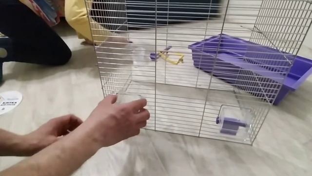 Клетка для попугая/Волнистые попугайчики/Сборка новой клетки для попугаев смотреть онлайн