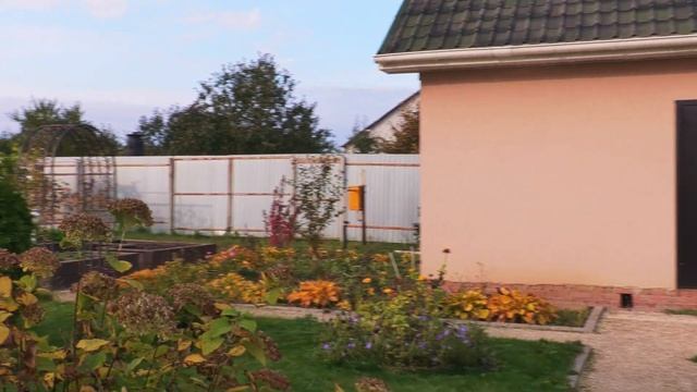 Зарисовка - Осенний сад смотреть онлайн