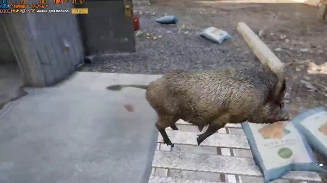 Far Cry 5 - Кабан смотреть онлайн