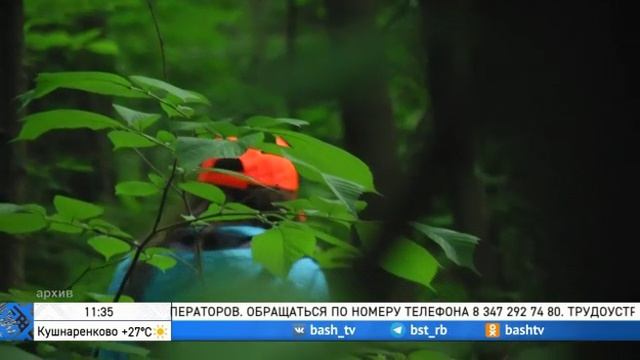 23-08-2023 смотреть онлайн