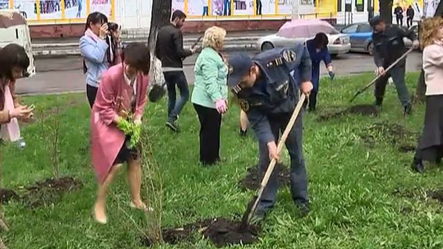 Посадка сирени смотреть онлайн