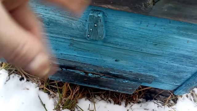 Зимовка пчел на воле в лежаках.07 ноября. Как зимуем мы в лесу.