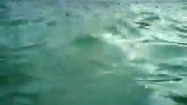 Погружение в музыкальный фонтан, Черкассы смотреть онлайн