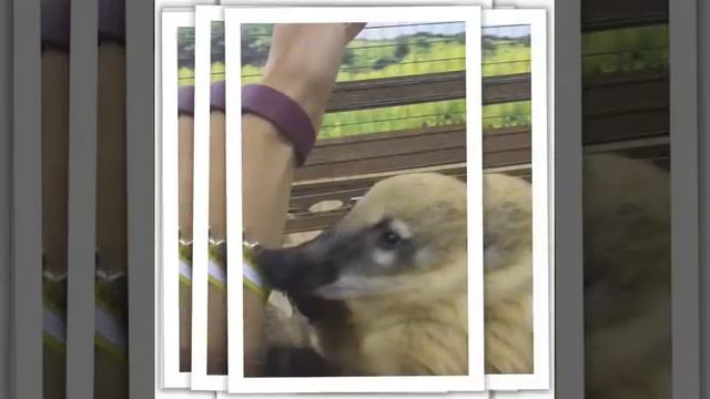 Hello Kherson! смотреть онлайн